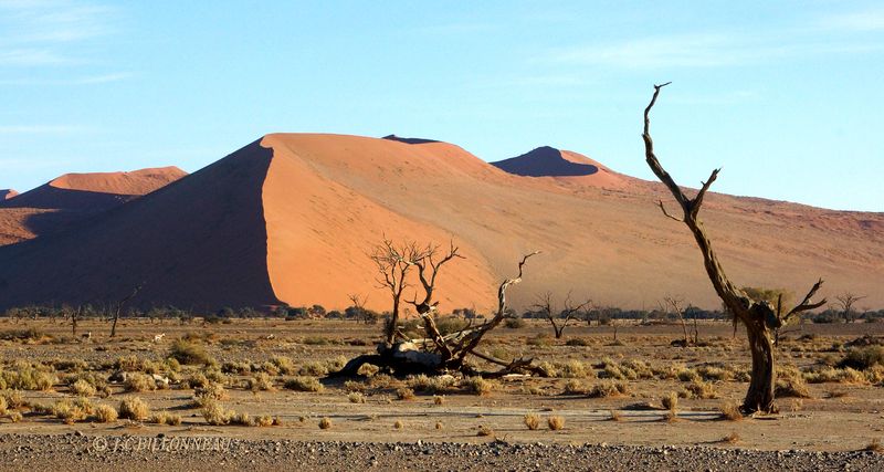 407 Sossusvlei.JPG