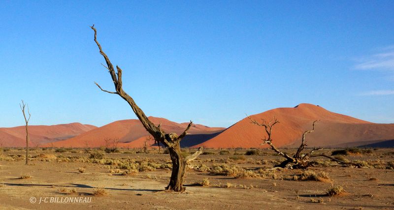 408 Sossusvlei.JPG