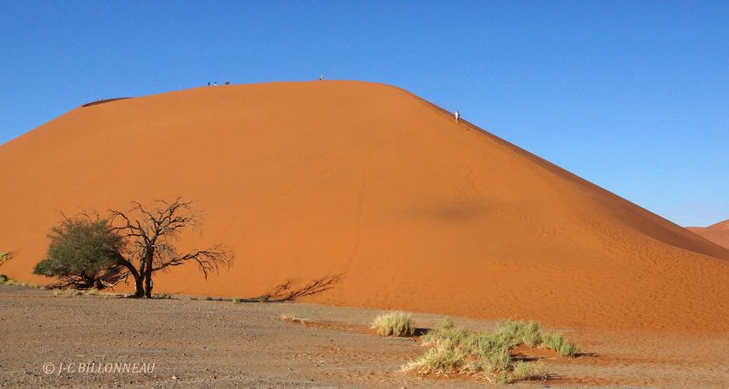 412 Sossusvlei.JPG