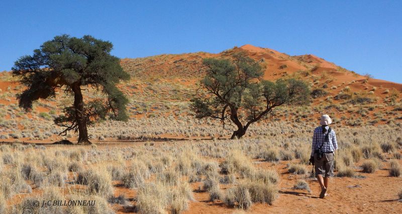 417 Sossusvlei.JPG