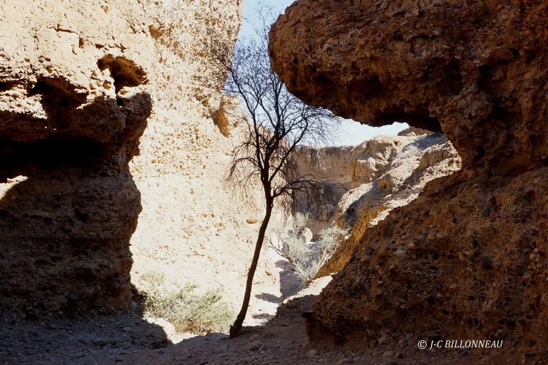 421 Canyon de Sossusvlei.JPG