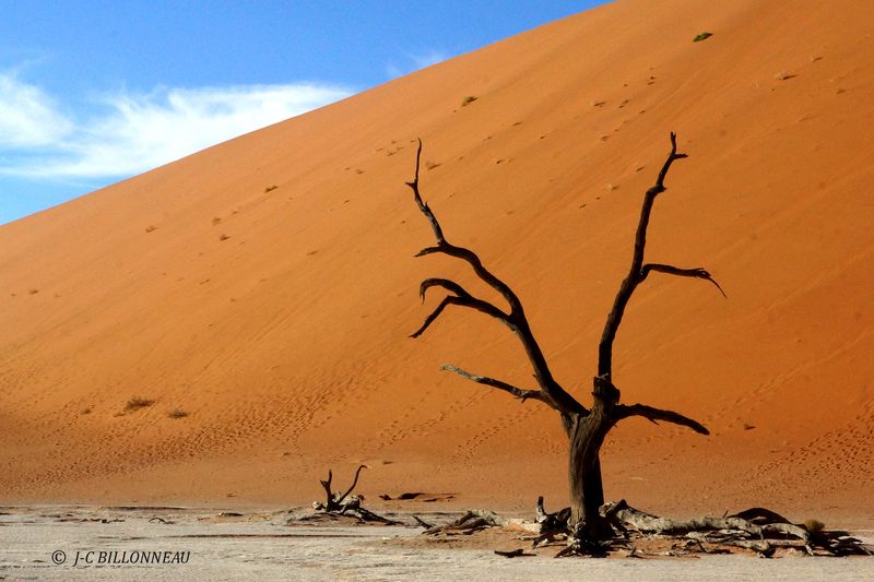 430 Deadvlei.JPG