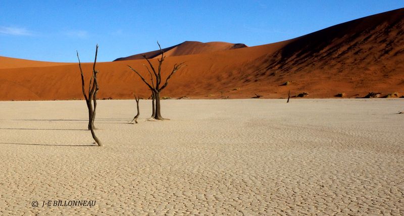 433 Deadvlei.JPG