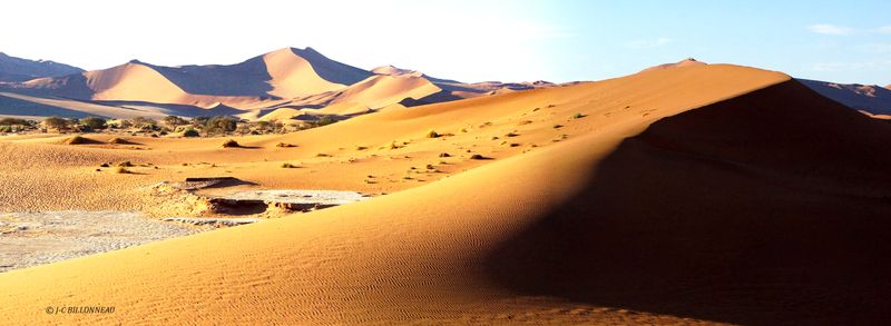 435 Sossusvlei.jpg