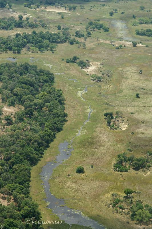 001 Survol du Delta de l'Okavango.jpg