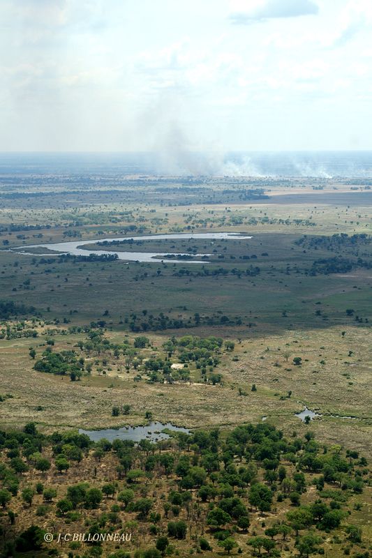 002 Survol du Delta de l'Okavango.jpg