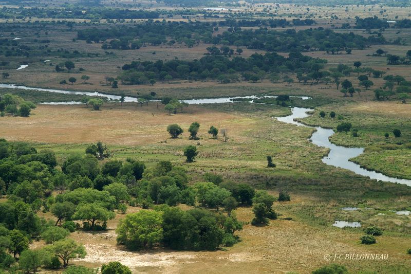 003 Survol du Delta de l'Okavango.jpg