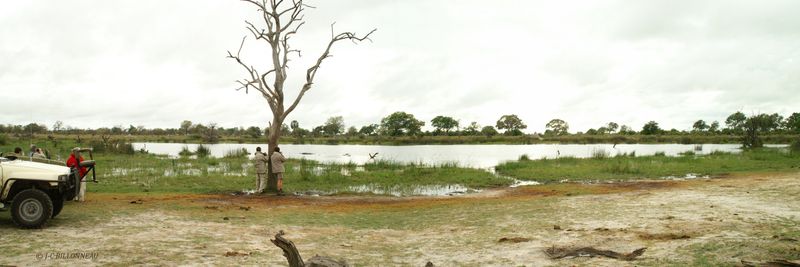 116 Okavango.jpg