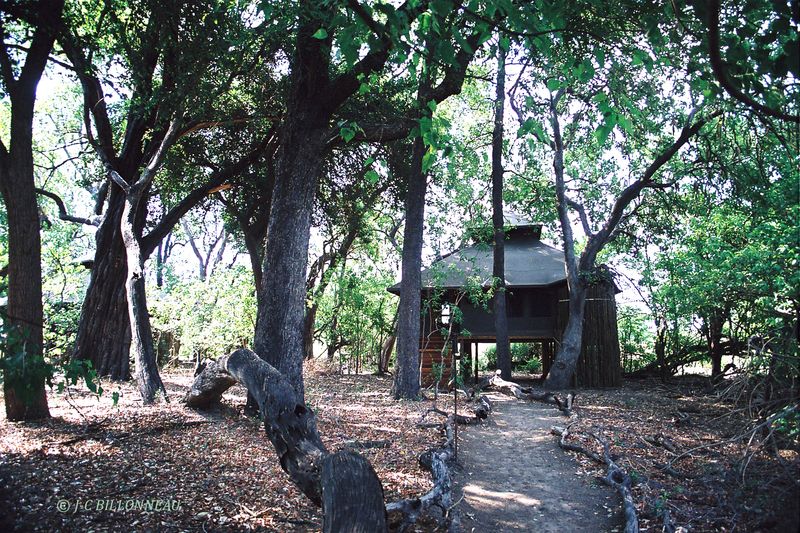 163 Lodge en Okavango.JPG
