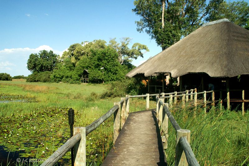 188 Camp en Okavango.jpg