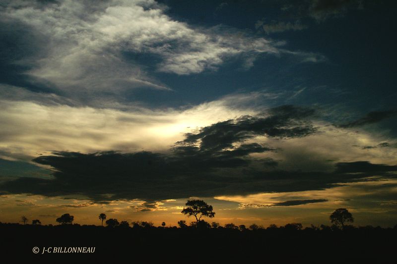 220 Coucher de soleil sur l'Okavango.jpg
