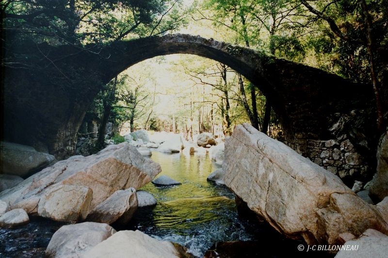 008 Pont de Zaglia - CORSE. - FRANCEJPG