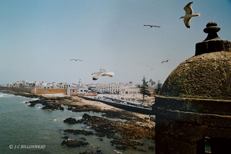 067 Essaouira - MAROC.JPG