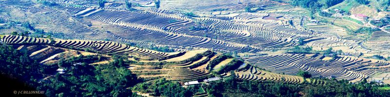 400 Rizières Col Khau Pha -VIETNAM.jpg