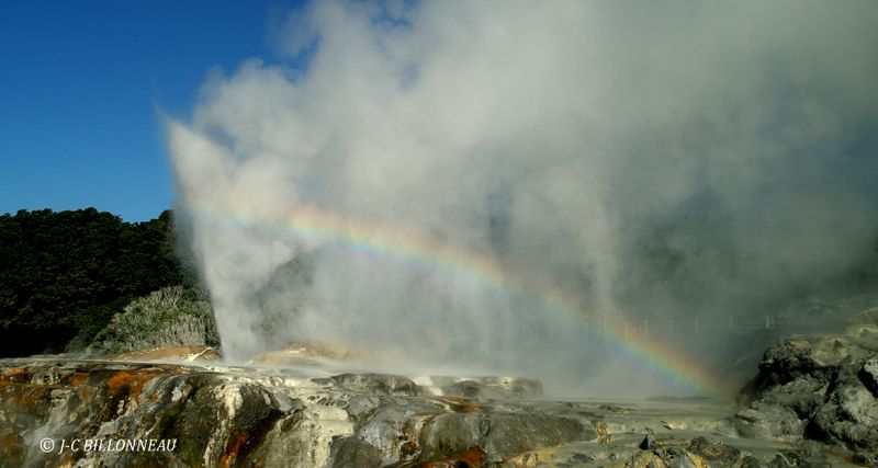 415 Geyser à Rotorua - NOUVELLE-ZELANDE.jpg