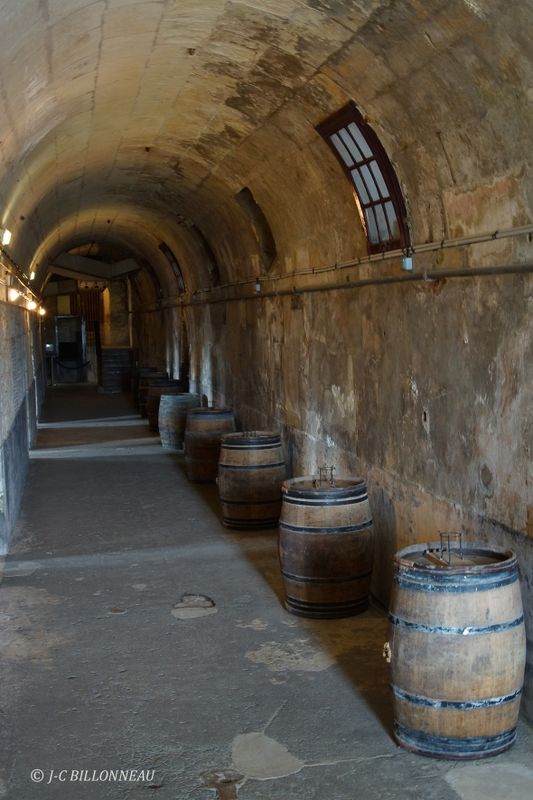 032 Château de Valençais - La cave.jpg
