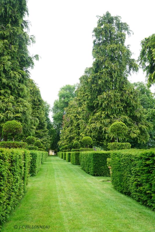 007 Jardins d'Eyrignac.JPG