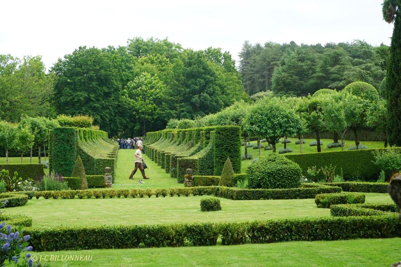 022 Jardins d'Eyrignac - Alle des charmes.JPG