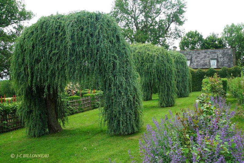 028 Jardins d'Eyrignac.JPG