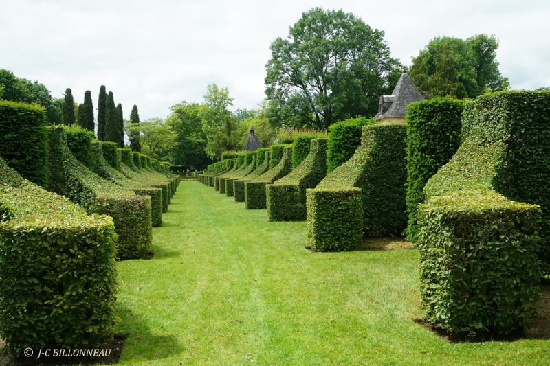 041 Jardins d'Eyrignac - Alle des Charmes.JPG