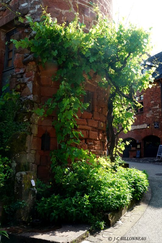 022 Collonges-la-rouge.JPG
