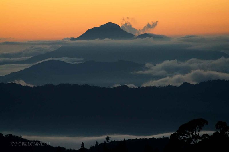 280-Mont-Kinabalu - BORNEO.jpg