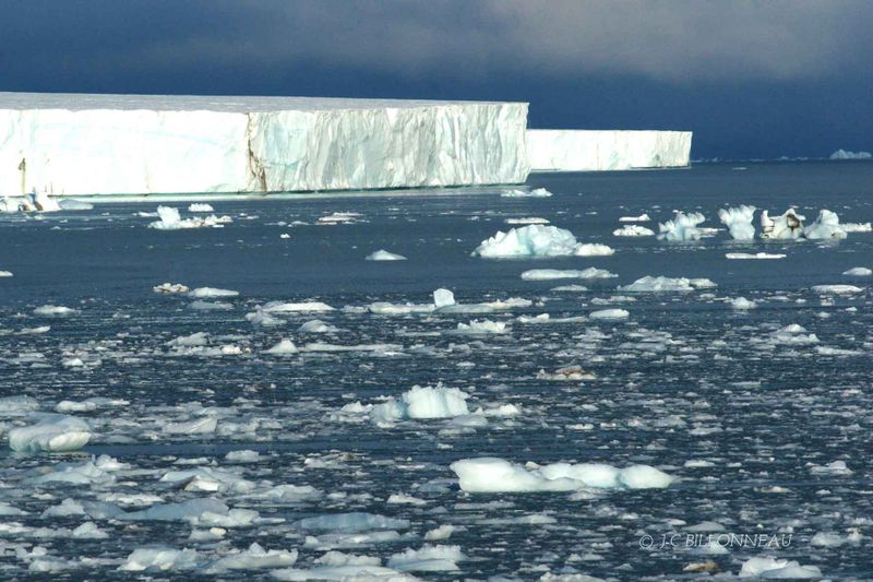 138-Calotte-polaire - SVALBARD.jpg