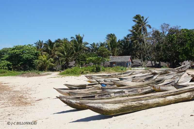 Galerie: MADAGASCAR (voyage)