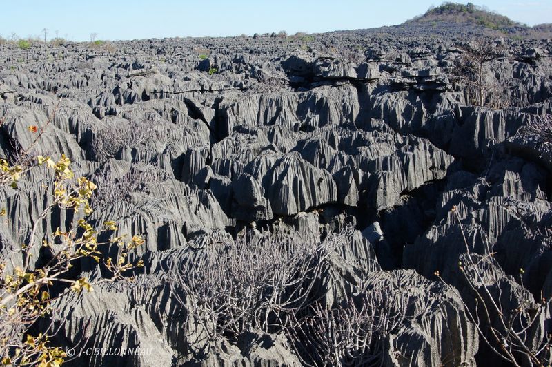Galerie: MADAGASCAR (voyage)