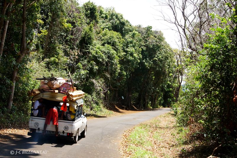 Galerie: MADAGASCAR (voyage)