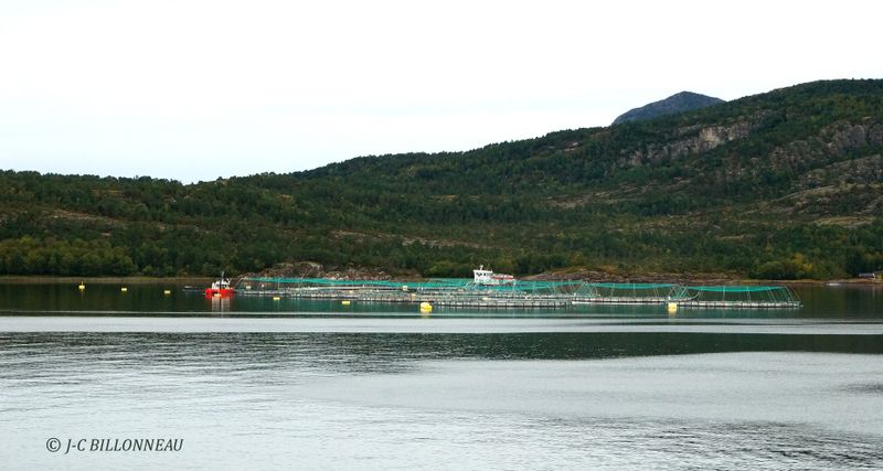 054 Ferme aquacole.JPG