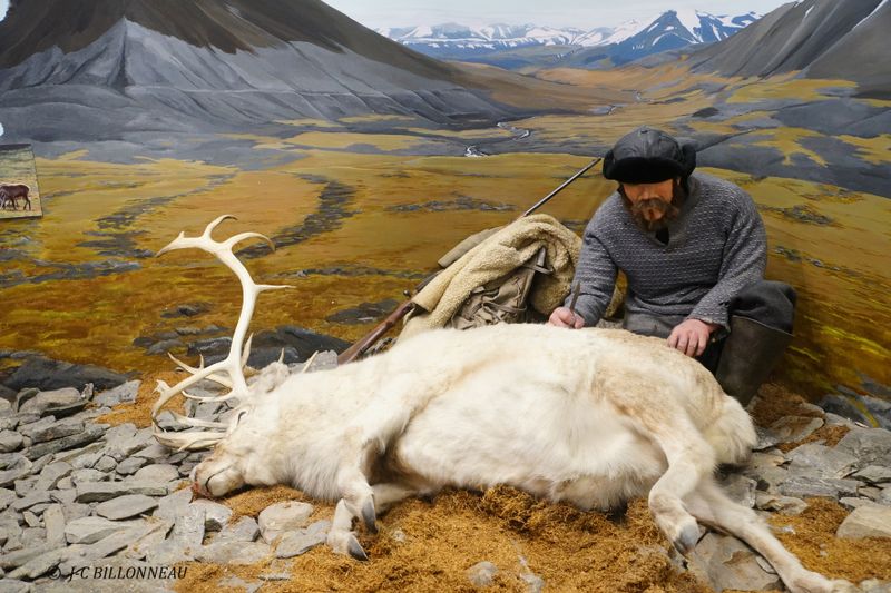 079 Muse polaire de Tromso.JPG