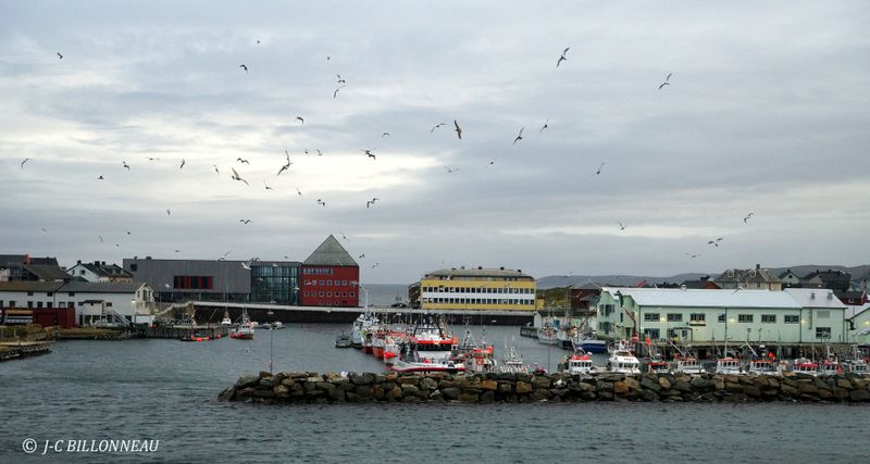 Galerie: Croisière en NORVEGE (voyage)