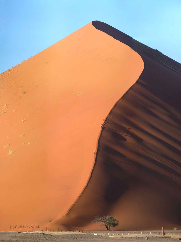 Galerie: MES FAVORITES