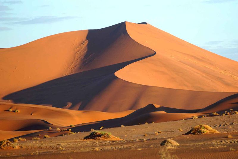 Galerie: MES FAVORITES