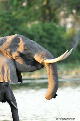 173 Au point deau.jpg