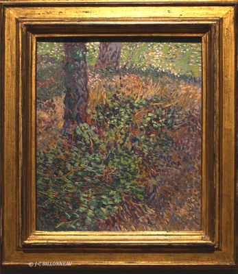 023 Sous-bois - Vincent van Gogh (1853-1890)JPG