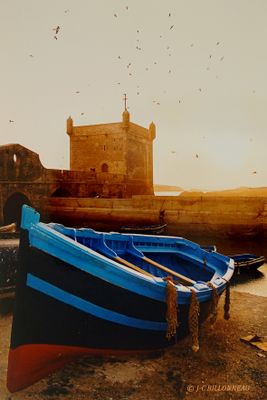 066 Essaouira - MAROC.JPG