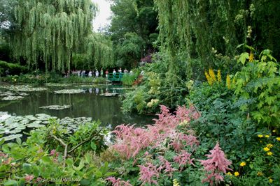 420 Giverny, jardin de Claude Monet - FRANCE.jpg