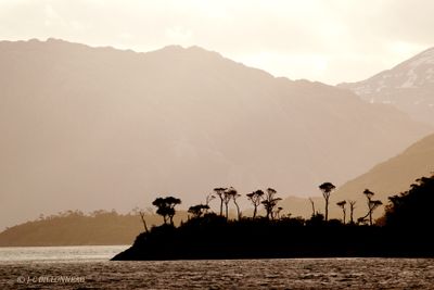 025 Patagonie.jpg
