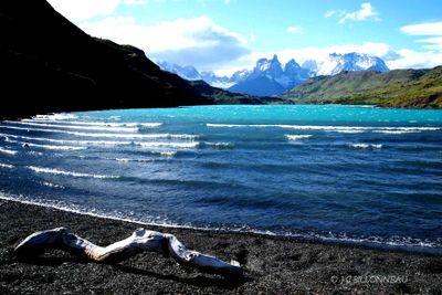 034 Parc de Torres del Paine.jpg
