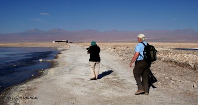 051 Salar de Chaxa.jpg