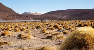 062-El-Tatio.jpg