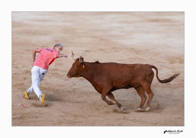Als bous 14-08-24