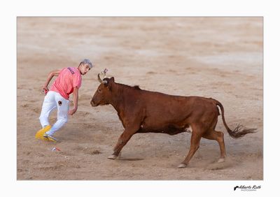 Als bous 14-08-24