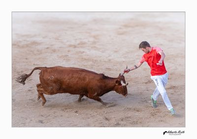 Als bous 14-08-24