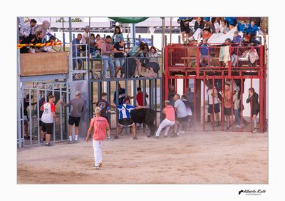 Als bous 14-08-24