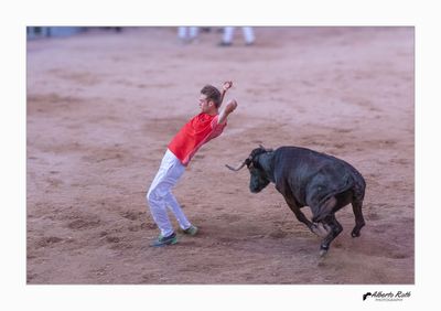 Als bous 14-08-24