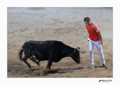 Als bous 14-08-24
