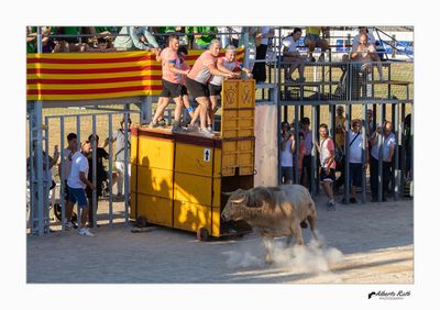 Als bous 17-08-24